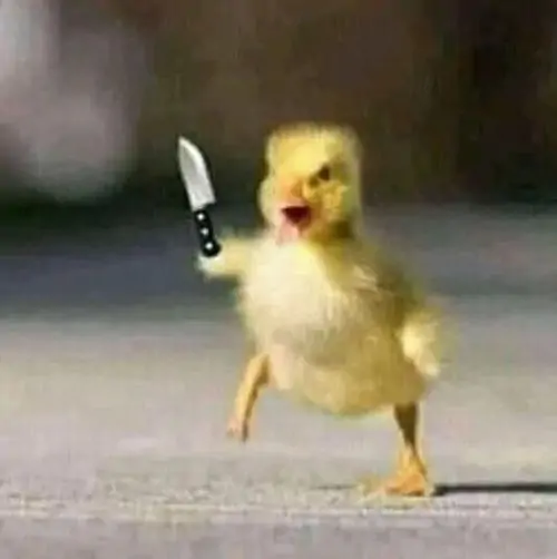 Khám phá 89 Ảnh Meme Vịt Cầm Dao Cầm Súng đe dọa rất hung hăng và cáu gắt