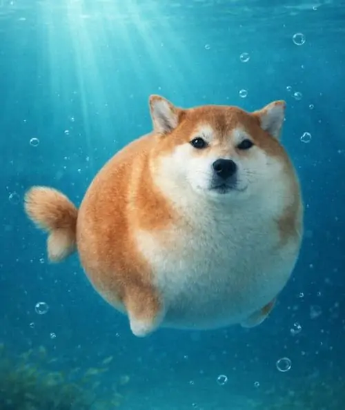 32 31