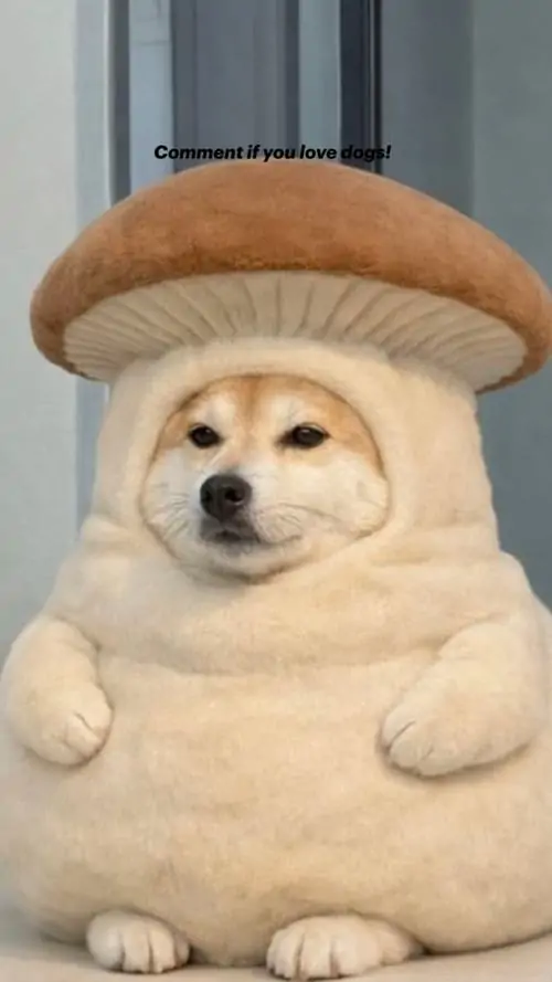 20 19