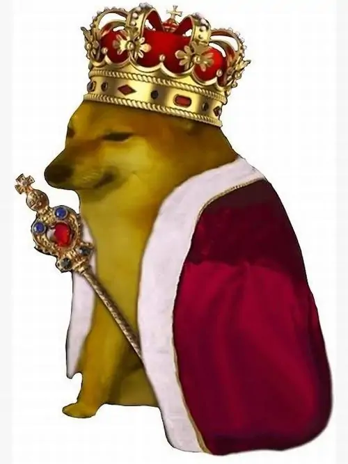 24 23