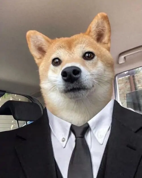 26 25