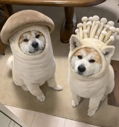 28 27