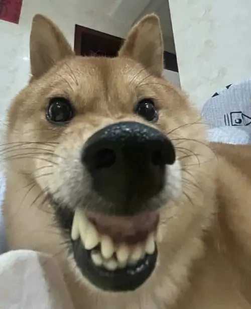 30 29