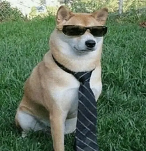 12 11