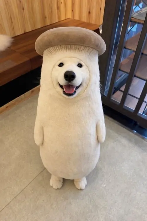 14 13