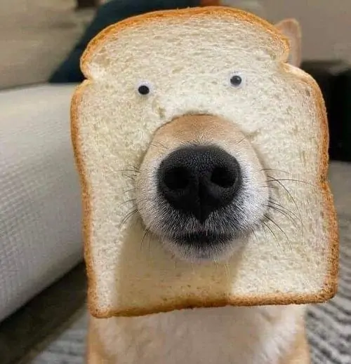 16 15