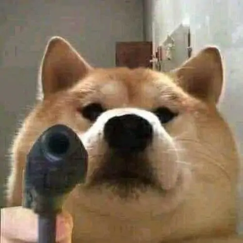 Cười bò với Ảnh Meme Shiba Cầm Súng Chỉa Súng cùng khuôn mặt không cảm xúc