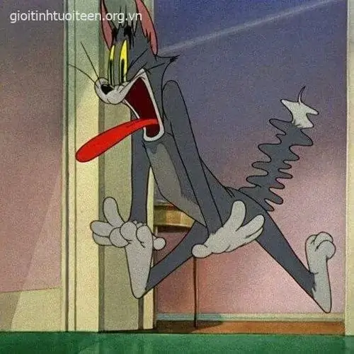 43 42