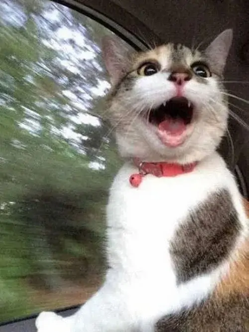 45 44