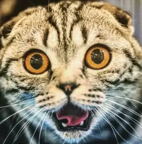 47 46