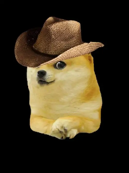 40 39