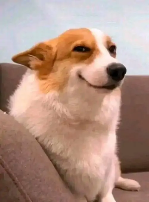 42 41