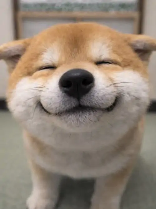 44 43
