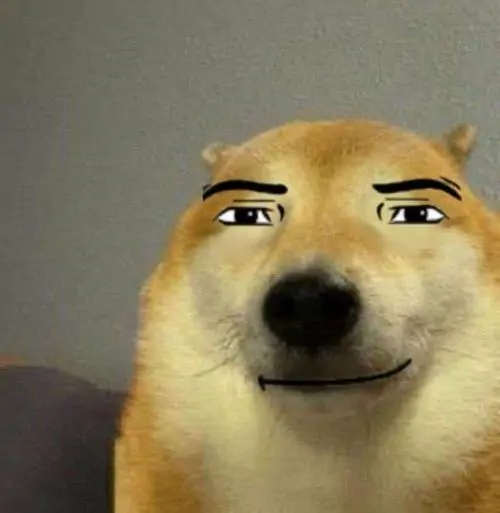 48 47