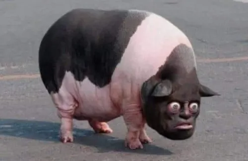 73 72