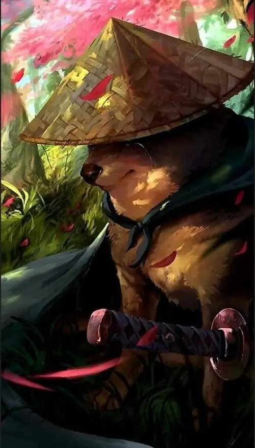 3 Chiếc nón lá phủ bóng lên chú chó Shiba mặc áo chiến binh, ánh mắt nheo tạo cảm giác nghiêm túc mà vẫn buồn cười