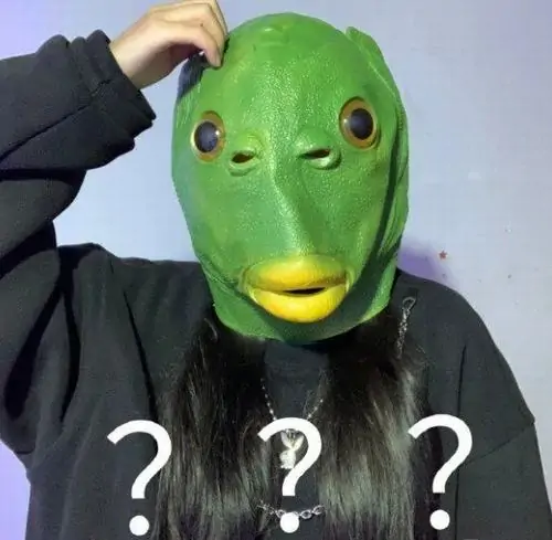 14 Meme hài người dùng đội mặt nạ ếch xanh trùm kín đầu kết hợp với dấu chấm hỏi trên áo khiến người xem thấy hoang mang tột độ.
