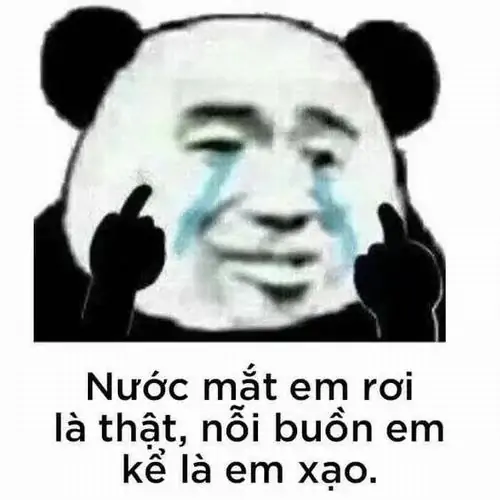 11 Gương mặt gấu trúc khóc rơi nước mắt nhưng dòng chữ thú nhận em xạo làm cảm xúc buồn trở thành cú lật hài hước