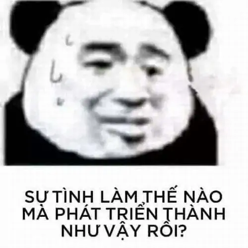 14 Vầng đen quanh mắt và giọt mồ hôi làm mặt gấu trúc bối rối, như tự hỏi sao mọi chuyện lệch hướng nhanh vậy