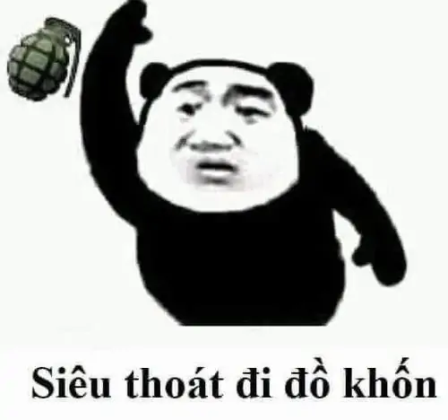 315 Ảnh Meme Gấu Trúc Weibo với loạt nét mặt cà khịa vui nhộn bạn bè