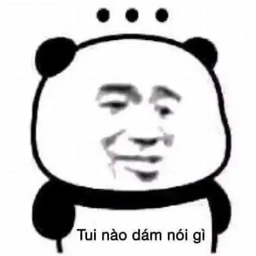 86 85