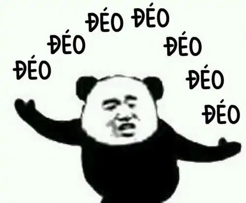 96 95