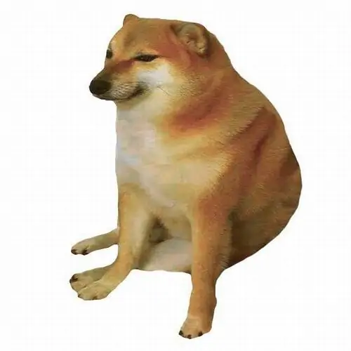 40 39