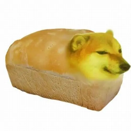 42 41