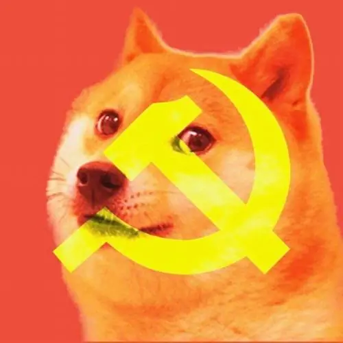 28 Meme huyền thoại ghi lại Balltze khoanh chân, bộ lông vàng mềm và dòng chữ lỗi chính tả khiến cộng đồng Reddit chia sẻ mãi