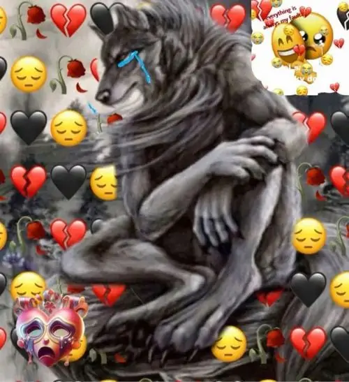 82 81