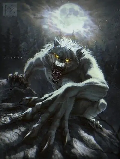 66 65