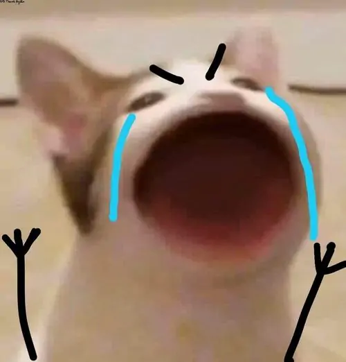 BST 299 Ảnh Meme Mèo Khóc Lóc với đôi mắt ngấn lệ và gương mặt không thể hài hơn