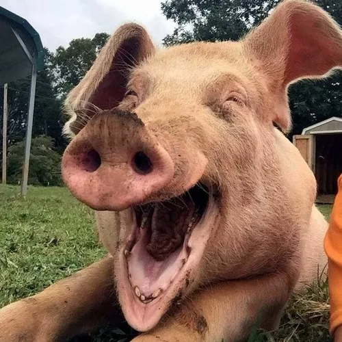 91 90