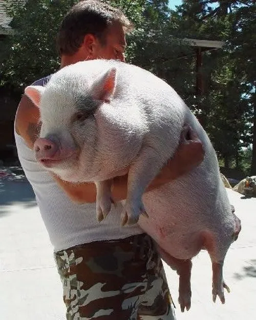 93 92