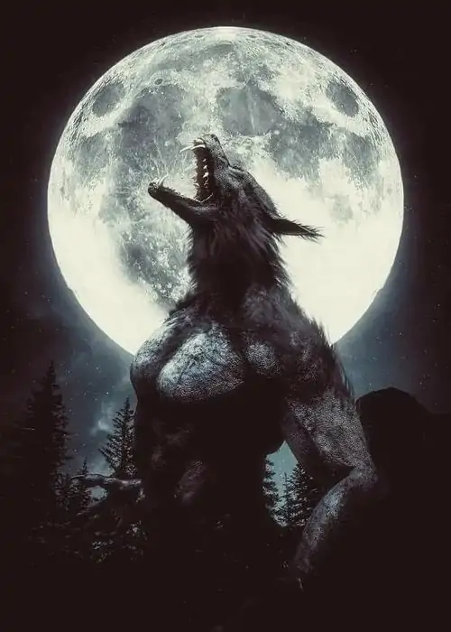 58 57