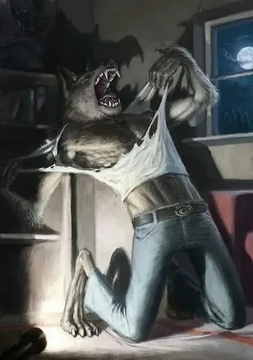 53 52