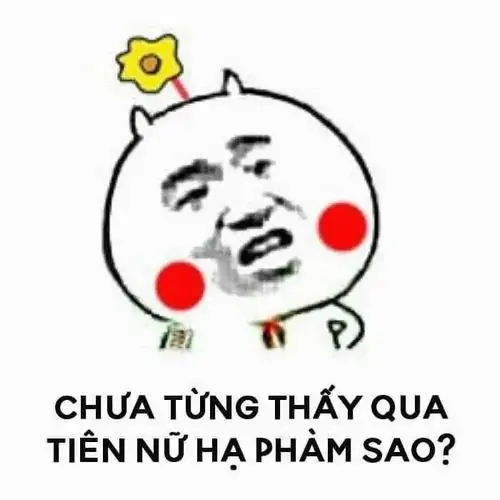33 Nhân vật đầu gấu trúc má đỏ cầm hoa, câu chưa từng thấy qua tiên nữ hạ phàm sao tạo vẻ tự khen ngây ngô
