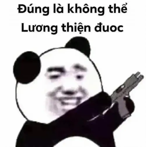 34 Gấu trúc mặt người cầm vật đen trong tay, câu đúng là không thể lương thiện được tạo cảm giác đang mất kiên nhẫn
