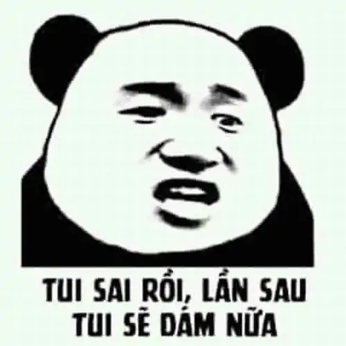 37 Gấu trúc mặt nghiêm nói tui sai rồi lần sau tui sẽ dám nữa, ánh mắt bướng bỉnh khiến lời nhận lỗi nghe cho có