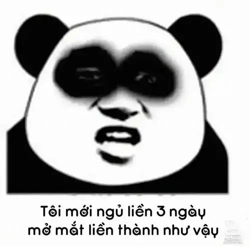 38 Gương mặt gấu trúc mắt thâm đen kèm câu mới ngủ liền ba ngày, vẻ ngái ngủ làm sự mệt mỏi bị phóng đại