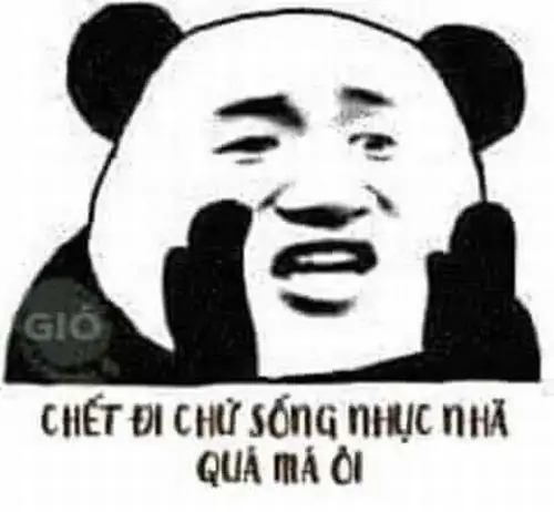 25 Nét mặt gấu trúc ôm má đầy đau khổ, câu chết đi chứ sống nhục nhã quá mà ơi đẩy sự quê lên cao