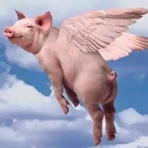 132 131