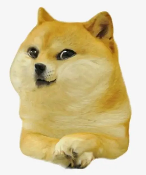 77 76
