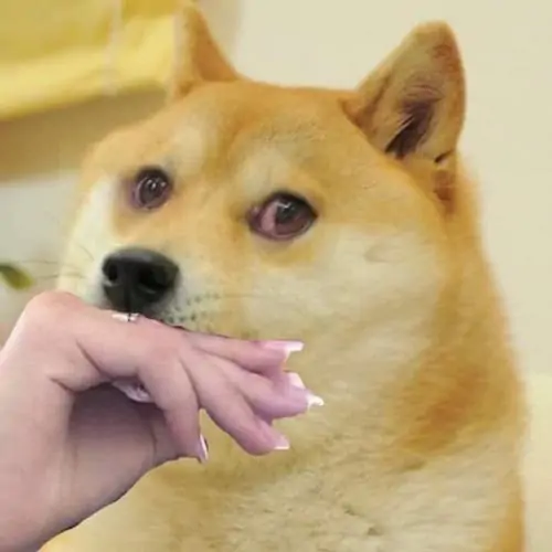 69 68