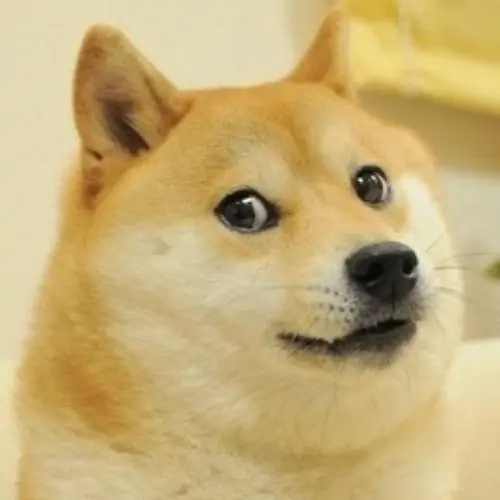 73 72