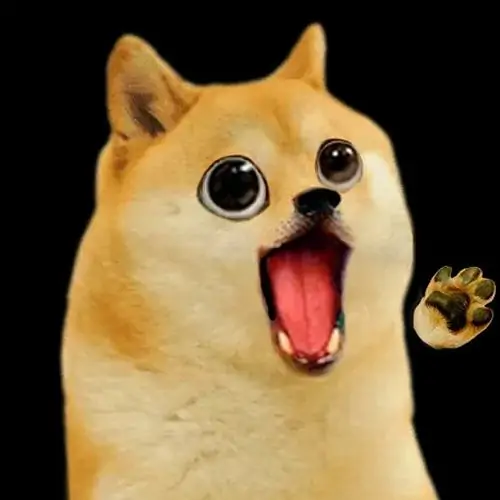 75 74