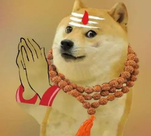 54 53