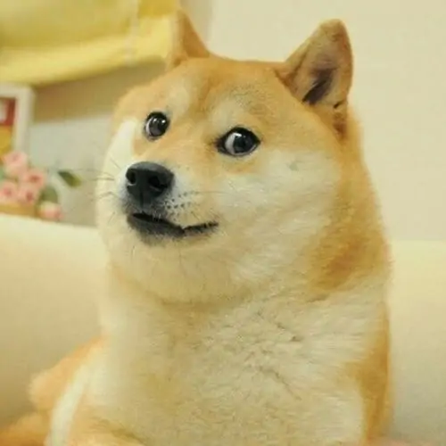 56 55