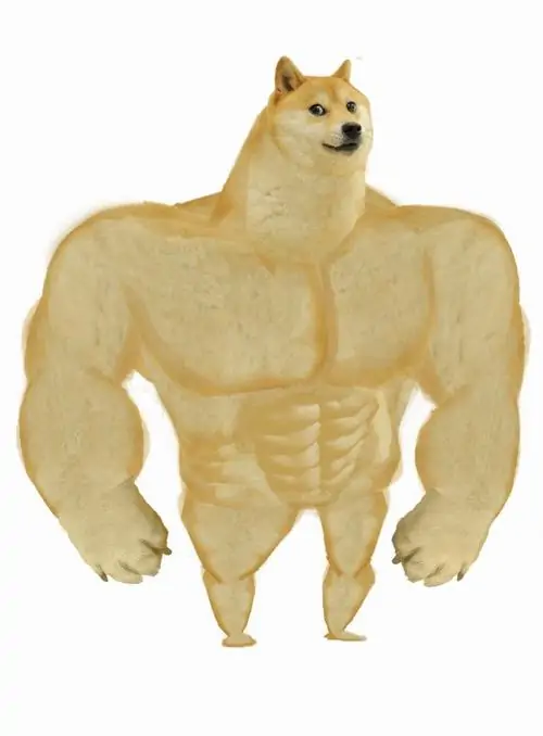 65 64