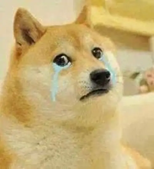 67 66